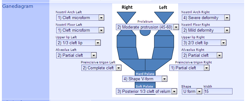 GaneDiagram.PNG